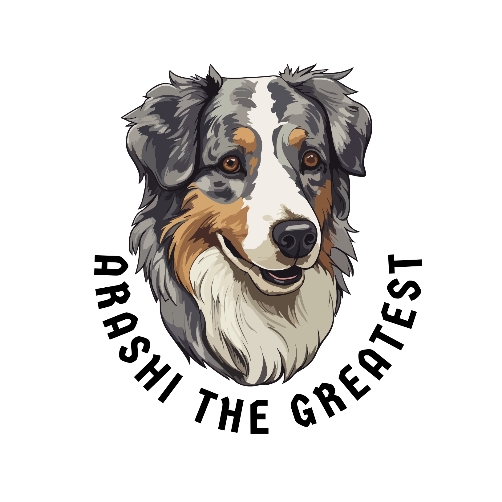 ARASHI APPROVEDᵀᴹ